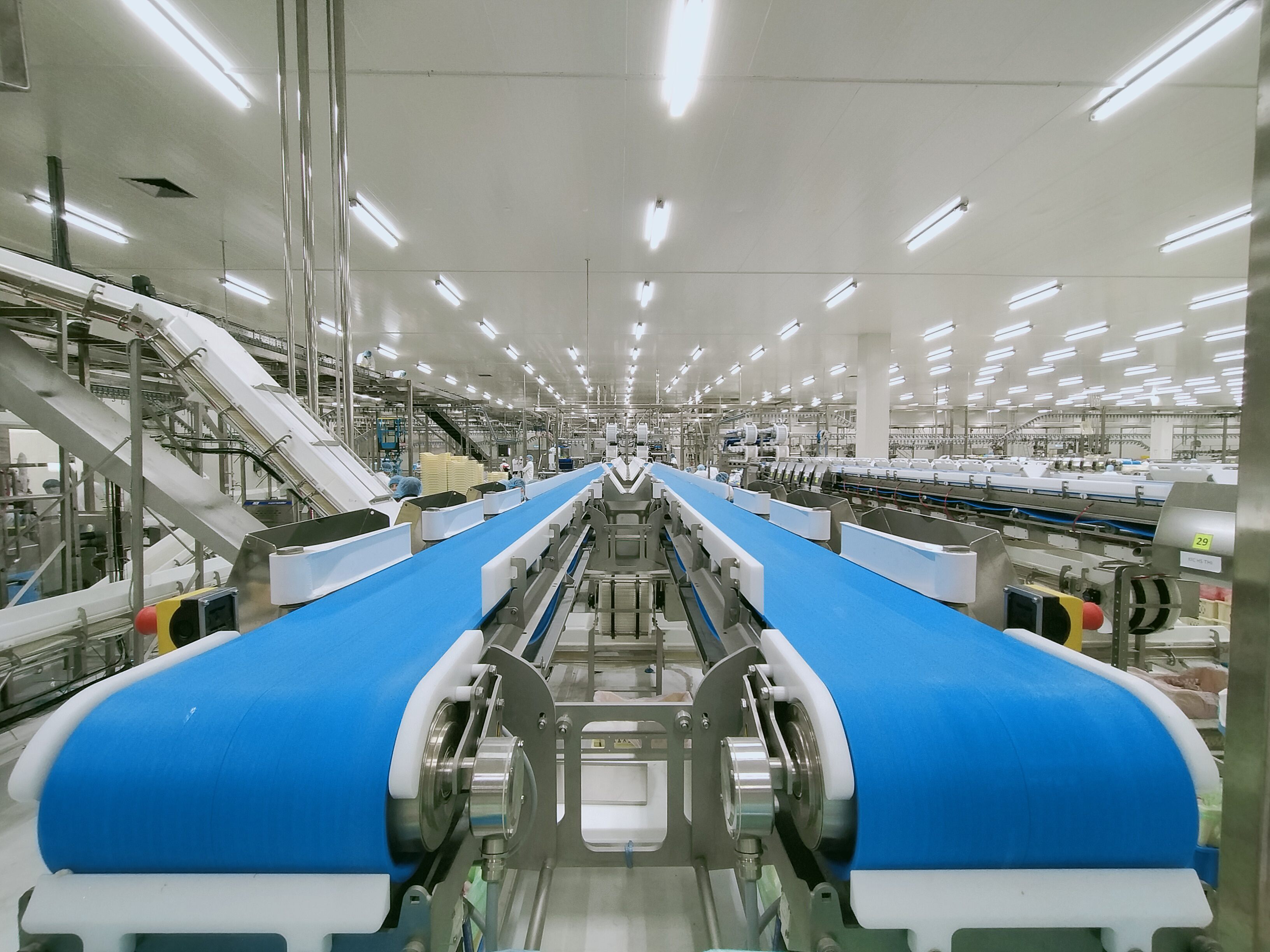 Food and Beverage Industry